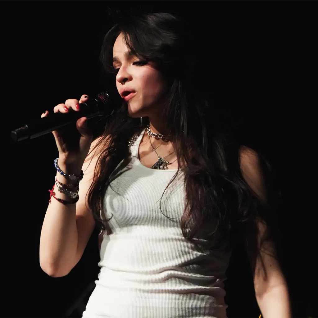 1729307528686-picture1png