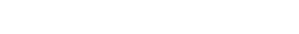 Partner logo Binary
